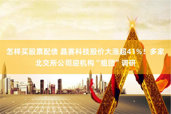 怎样买股票配债 晶赛科技股价大涨超41%！多家北交所公司迎机构“组团”调研