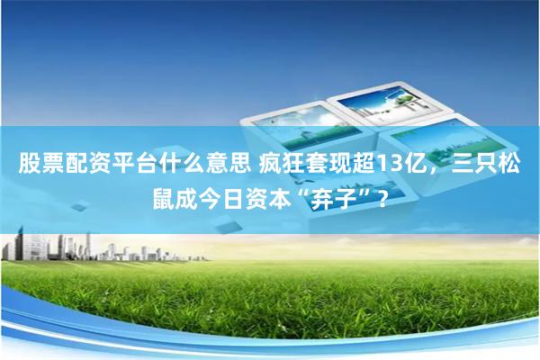 股票配资平台什么意思 疯狂套现超13亿，三只松鼠成今日资本“弃子”？