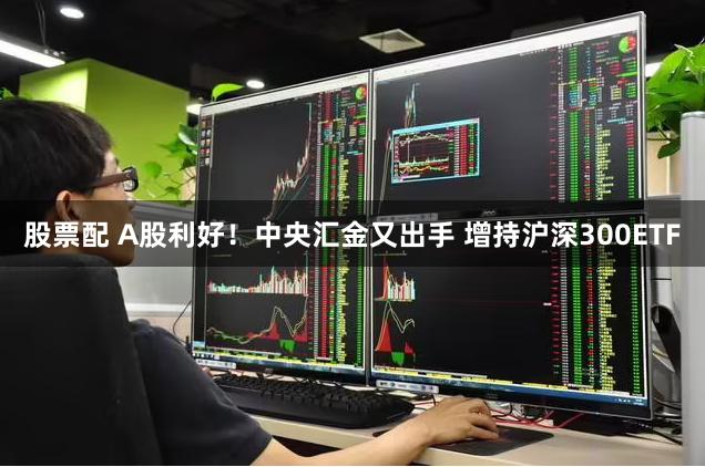 股票配 A股利好！中央汇金又出手 增持沪深300ETF