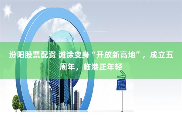 汾阳股票配资 滩涂变身“开放新高地”，成立五周年，临港正年轻