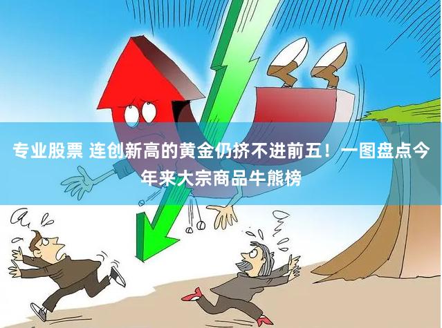 专业股票 连创新高的黄金仍挤不进前五！一图盘点今年来大宗商品牛熊榜