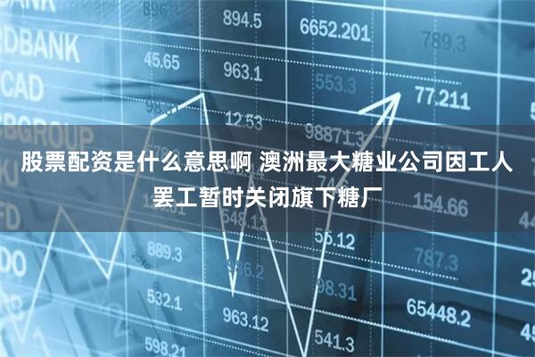 股票配资是什么意思啊 澳洲最大糖业公司因工人罢工暂时关闭旗下糖厂