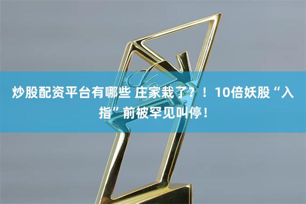 炒股配资平台有哪些 庄家栽了？！10倍妖股“入指”前被罕见叫停！