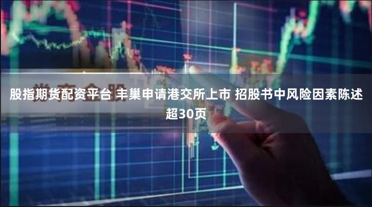 股指期货配资平台 丰巢申请港交所上市 招股书中风险因素陈述超30页
