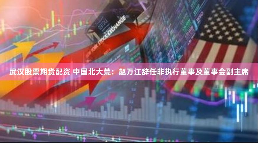武汉股票期货配资 中国北大荒：赵万江辞任非执行董事及董事会副主席