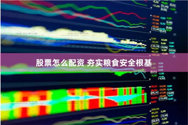 股票怎么配资 夯实粮食安全根基