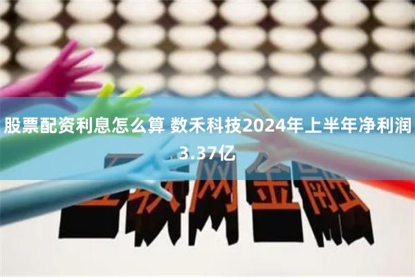 股票配资利息怎么算 数禾科技2024年上半年净利润3.37亿