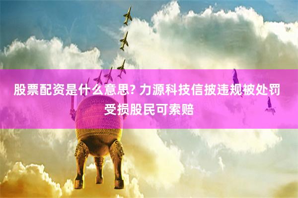 股票配资是什么意思? 力源科技信披违规被处罚 受损股民可索赔