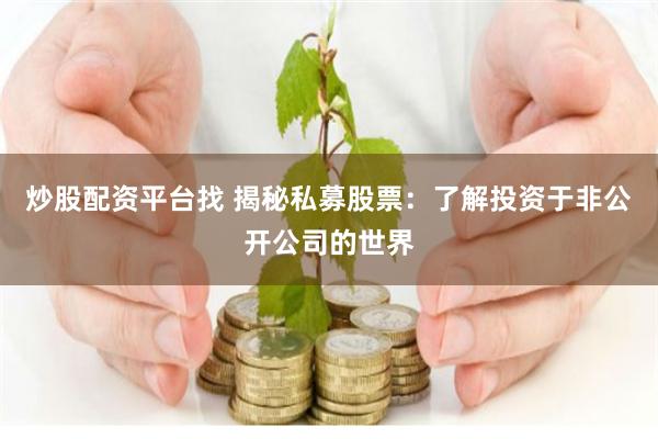 炒股配资平台找 揭秘私募股票：了解投资于非公开公司的世界