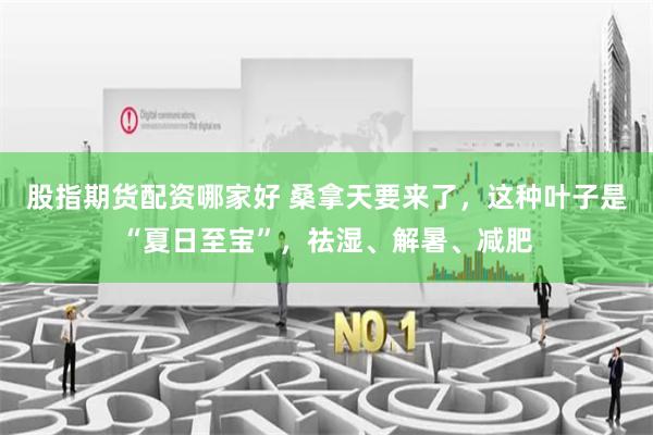 股指期货配资哪家好 桑拿天要来了，这种叶子是“夏日至宝”，祛湿、解暑、减肥