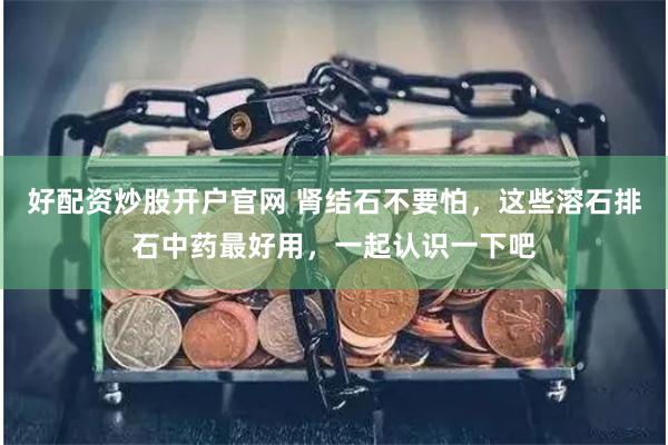 好配资炒股开户官网 肾结石不要怕，这些溶石排石中药最好用，一起认识一下吧